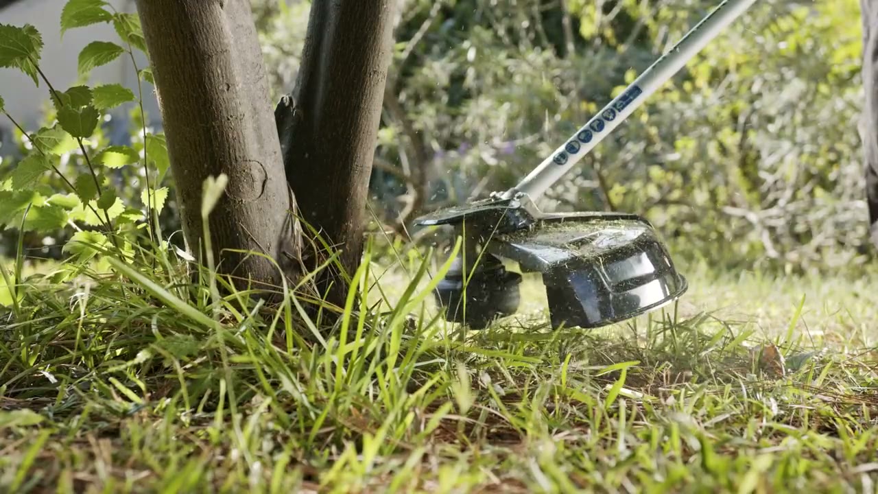 A string trimmer edging bright green grass around a tree on a sunny day